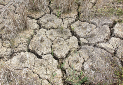 Malaysia Siap Siaga Hadapi Cuaca Panas, Risiko Jerebu Akibat El Nino Kuat