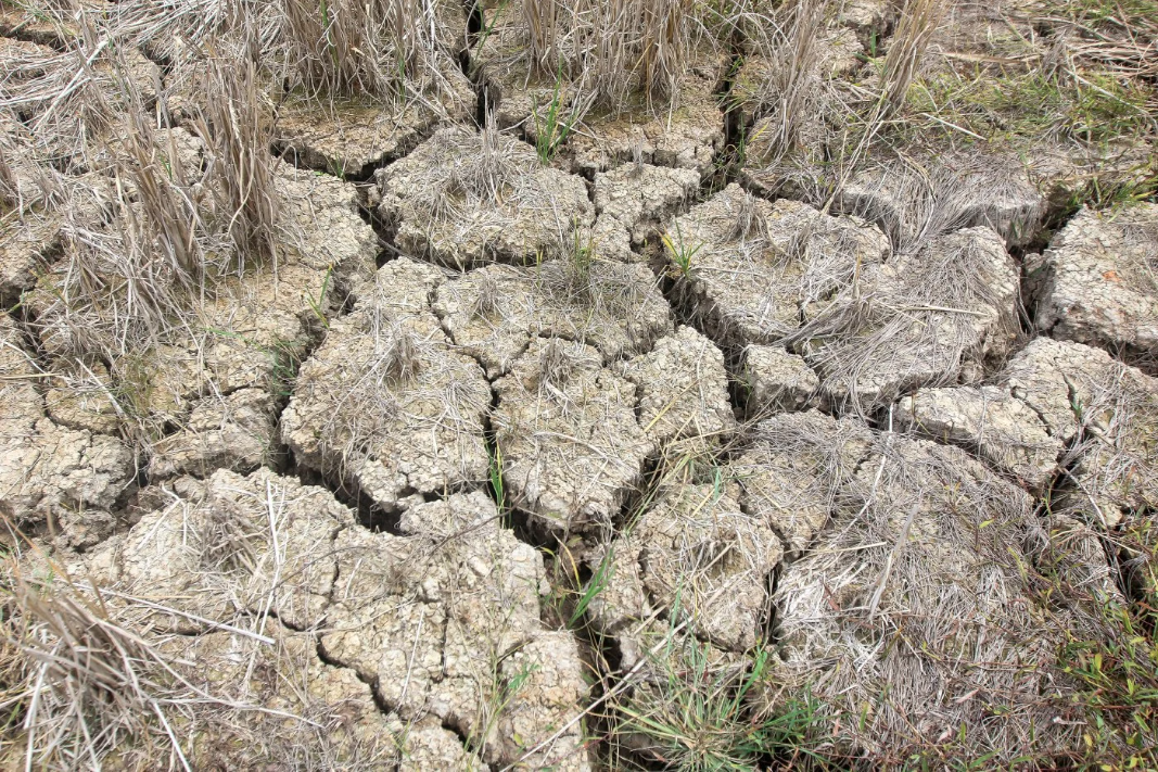 Malaysia Siap Siaga Hadapi Cuaca Panas, Risiko Jerebu Akibat El Nino Kuat