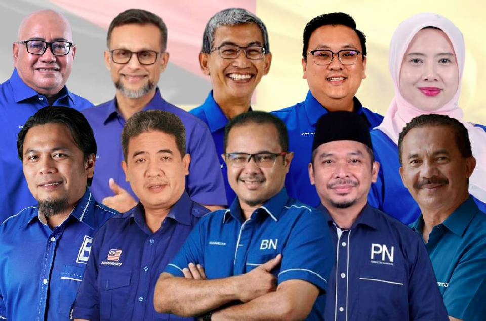 10 EXCO Negeri Sembilan Angkat Sumpah, ADUN Linggi Dan Palong Kekal